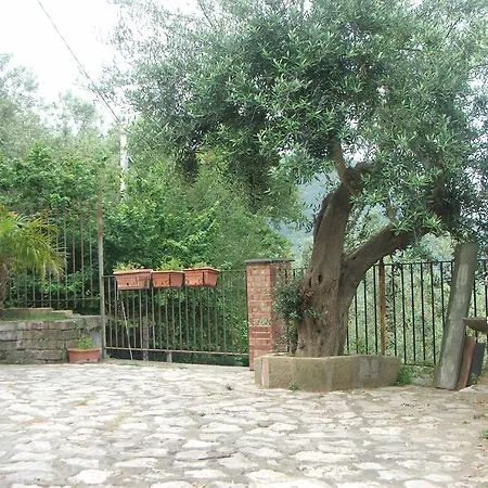 Villetta Surriento Sorrento